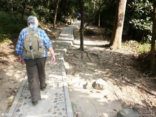 上山老人背景图片 