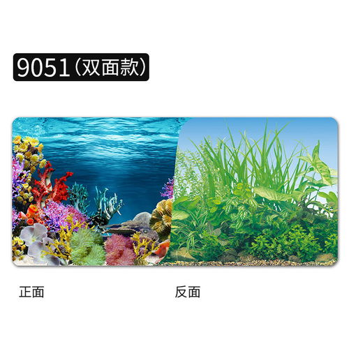 贴画海洋生物墙画贴纸墙贴3背景图无框画贴鱼缸的壁纸立体背景