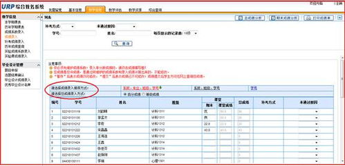 报表名称查重结果查看教程