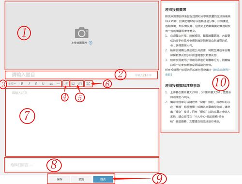 新手写文章到哪里投稿(新手写文章在哪个平台发布比较好)