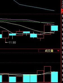 002276 万马电缆明天走势怎样