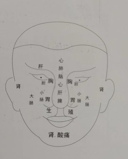 紫微斗数分析癸亥日出生在辰月八字命理事业财运婚姻