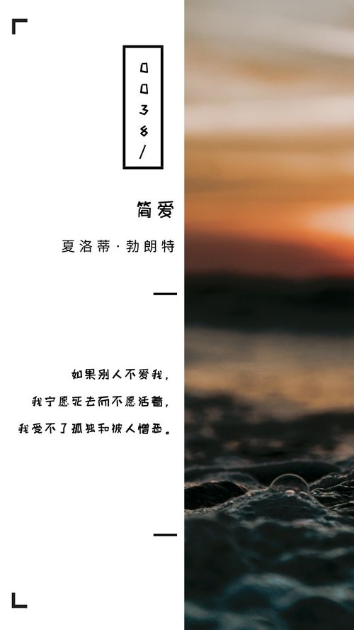 简爱优美句子摘抄大全