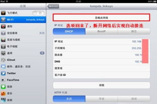 ipad怎么设置自动联网 