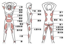 怎样让大腿变细呢