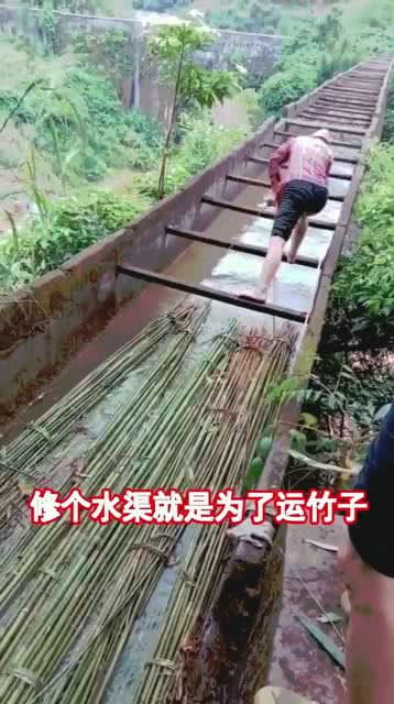 为了运竹子专门修的水渠,大家看看这方法怎么样 