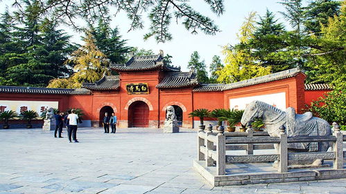 洛阳 广场旅游美景 洛阳 广场风景区图片 洛阳 广场摄影作品 南京公司组团旅游网 