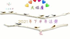 猫巫塔罗 天蝎座2021年 年运势,充满干劲,会得到满足状态