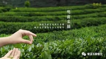 打破 有品类 无品牌 行业桎梏,看这家企业20年如何打造高端绿茶领军品牌