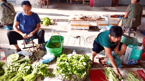 以后在这里卖菜,再也不怕风吹雨淋了