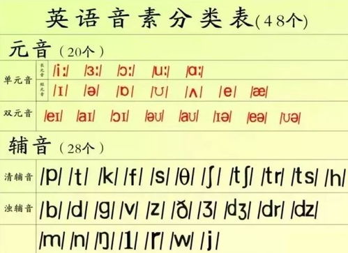 什么是元音音素(什么是元音音素什么是辅音音素英语)