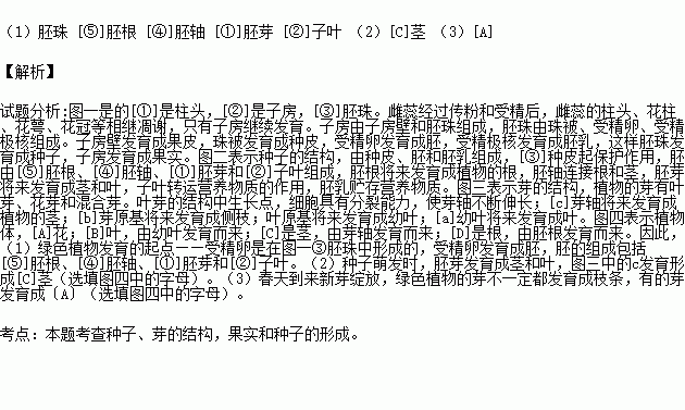 以下是绿色植物受精过程.种子.芽和植株结构示意图.根据图示回答问题. 1 绿色植物发育的起点 受精卵是在图一③ 中形成的.受精卵发育成胚.胚的组成包括 