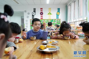 普惠性幼儿园(普惠性幼儿园是什么样的与普通幼儿园有什么区别)