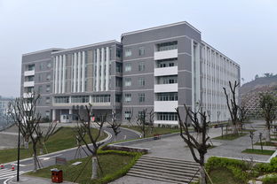 重庆建筑工程职业学院 专业设置