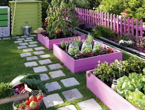 房屋边种菜怎么弄好看 后院挨着大道怎么做花园