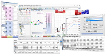 FX PROPHET METATRADER 外汇与黄金交易平台是正规的么？