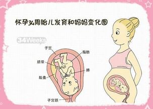 原创女人怀孕后的这几种情况，可能说明胎发育良好，看看你有没