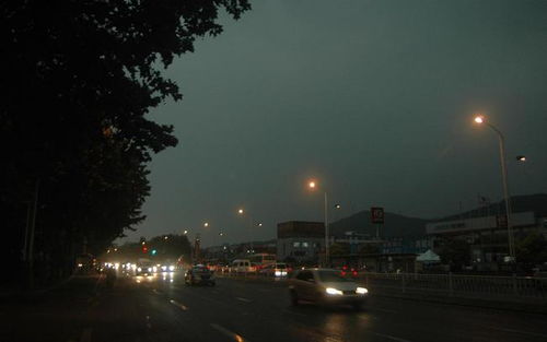 雨夜随感,未免无病呻吟了些