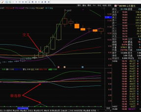 求通达信毛利率选股公式