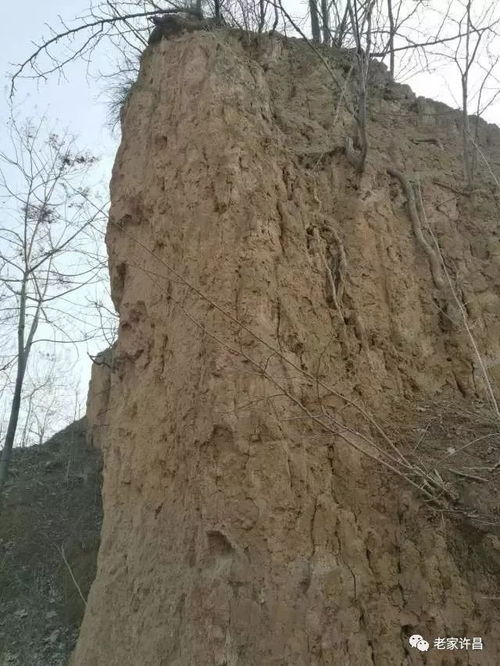 河南此处,乃二龙戏珠的风水宝地 肖中献 