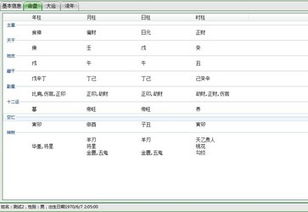 鹰蛇八字合婚2011和洪铟八字算命软件对比 ZOL下载 