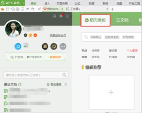 wps里面的稻壳是什么意思呢 