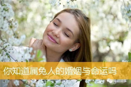 生肖兔,你知道属兔人的婚姻与命运吗