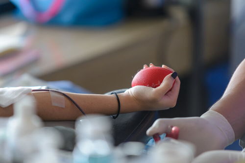 本市所有献血办均可受理献血报销