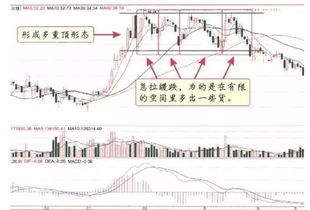 股票哈里系是什么意思