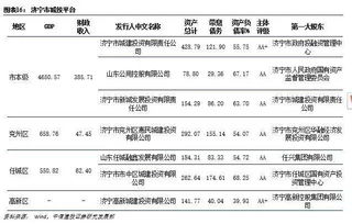 山东全省城投平台总梳理与比较分析