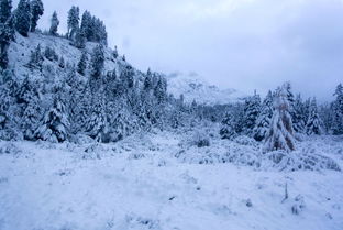 四川游 阿坝路上突遇大雪