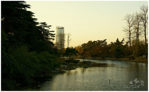 从小岛到小湖