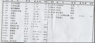 这血清化验 正常吗 