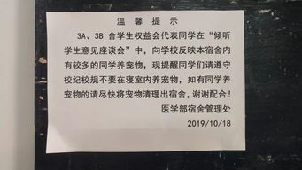 提升学生宿舍管理和服务能力征求意见会