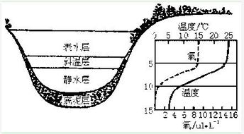 结晶釉之结晶原理与影响因素