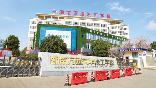 辉县市技工学校开设专业