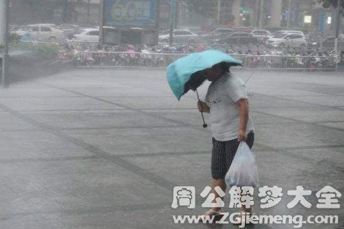 梦见暴风雨伞坏了是什么意思 梦到暴风雨伞坏了好不好 大鱼解梦网 