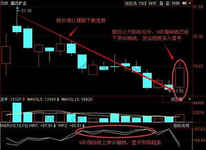 怎么让wr指标只显示一条线