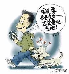 这47个品种的狗不能养,违规养犬最高处罚达10000元 秦皇岛10月1日起实行养犬新规 