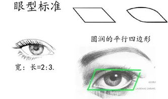 关于双眼皮手术,到底是埋线好,还是全切好 