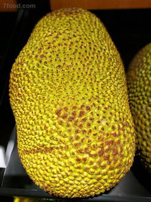 菠萝蜜的核怎么吃 菠萝蜜核的吃法