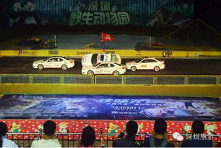 深圳市旅游协会千余人深圳野生动物园观看夜场演出 