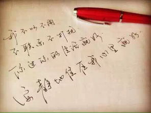 这种字体叫什么字体 哪里有这种字帖买 我觉得好好看,想练怎么练 