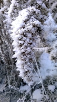 雪，是大自然的馈赠，是冬天的气息，是孩子们的欢乐。每当看到窗外飘落的雪花，心中总是充满了喜悦和期待。，雪400字作文四年级