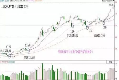 谁知道股市的本质是什么？