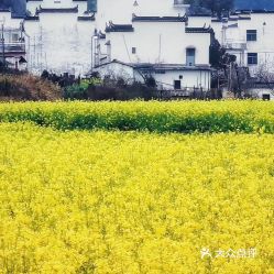 江西婺源旅游需要花费多少钱