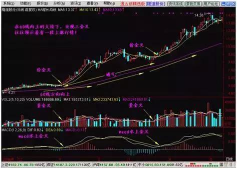 求助通达信选股预警公式：20均线死叉60均线，谢谢老师！