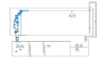 鱼缸底部过滤 