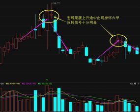 股票技术术语有个"；身怀六甲"；，请问是这代表什么意思?