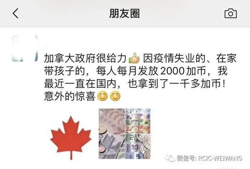 想尽办法,只为给你发钱 专做这种 傻事 除了加拿大还有谁